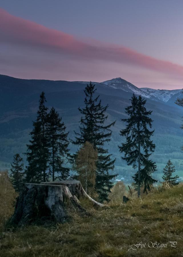 Szewska Pasja Agroturystyka Wiejska レシナ エクステリア 写真