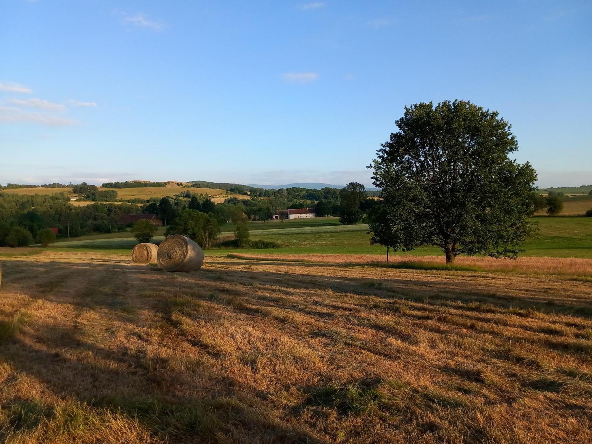 Szewska Pasja Agroturystyka Wiejska レシナ エクステリア 写真